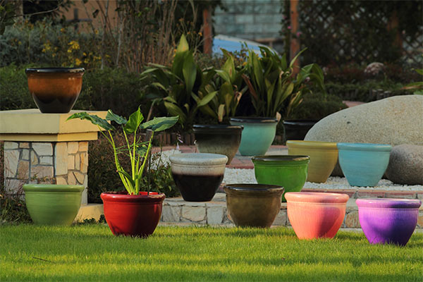 7" Flower pot