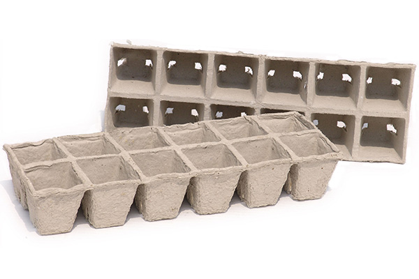 5cm Square Propagation 12 Cells