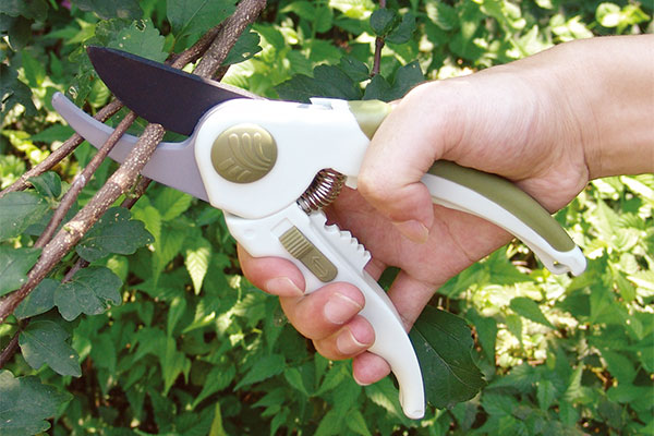 8" Bypass Pruner