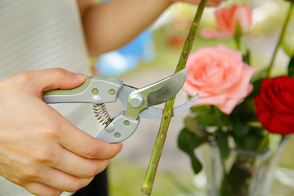 7" Deluxe Bypass Pruner