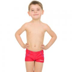 Little Boy Dinosaur Swimwear