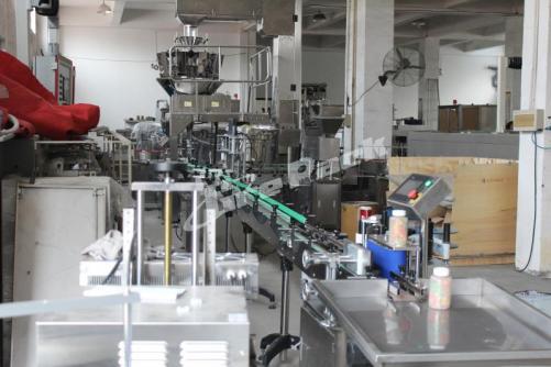 Automatic particle filling line