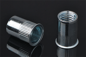 Reduce Head Round Bodyplain-UK Blind Rivet Nuts