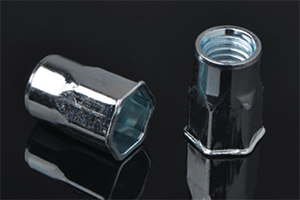 Reduce Hex Head Inner Hex Body-UK Blind Rivet Nuts