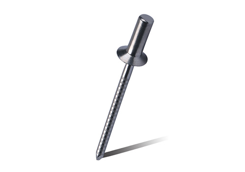 Stainless Steel Body And Stainless Steel  closed csk head